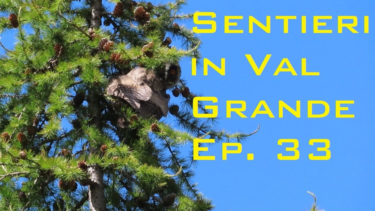 Sentieri in Val Grande ep. 33 - Alpe Corte di sopra