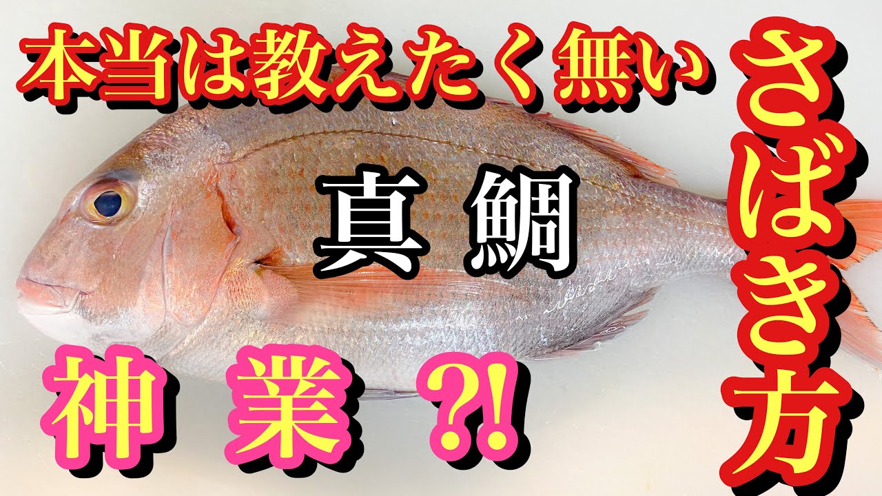 鯛のさばき方【捌き方】簡単神業伝授　鯛さばき方初心者向けに神業おろし方教えます　How to filet Red Sea Bream