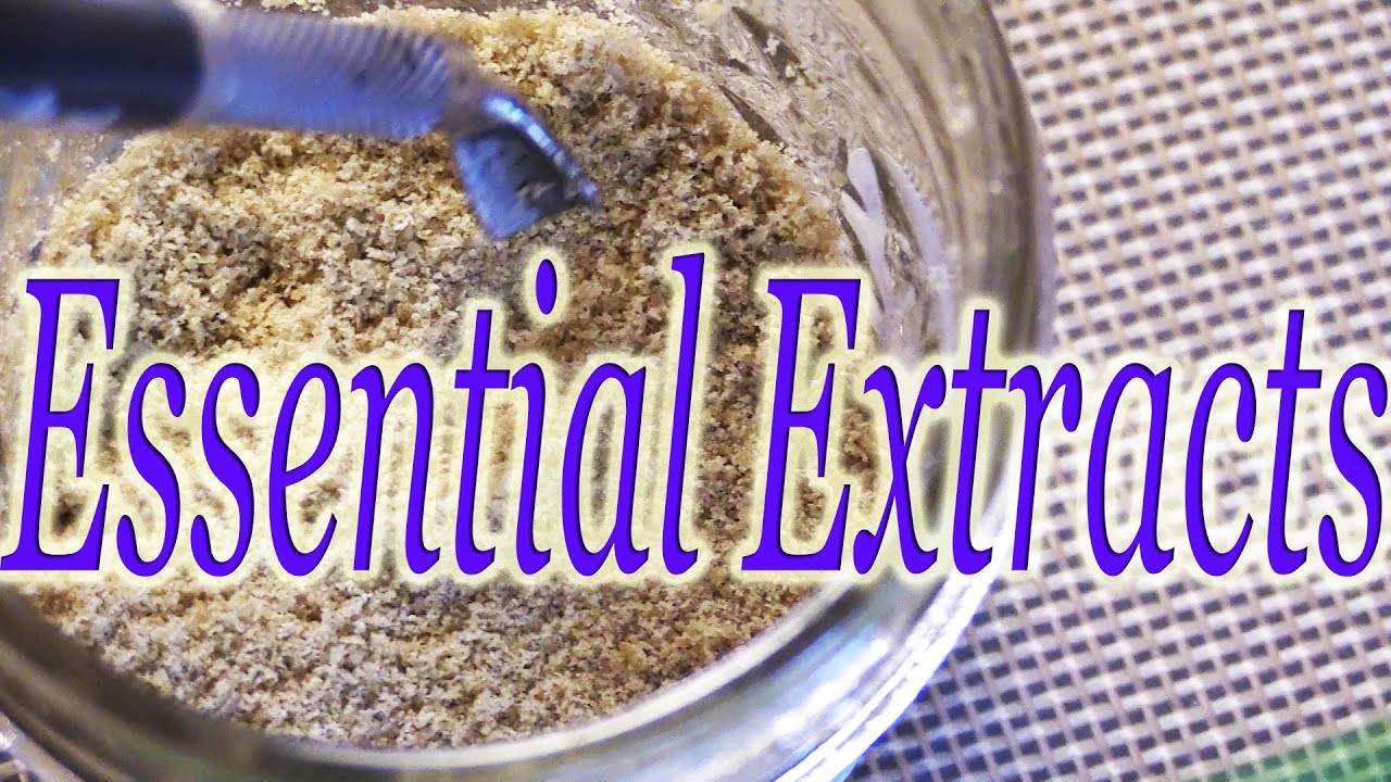 ESSENTIAL EXTRACTS Nikka T!