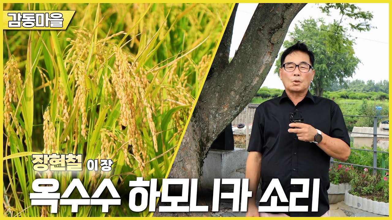 新우문현답 | 447회 고개 숙인 벼 | 경남 고성군 거류면 감동마을  (KBS 2025.09.03.수 방송)