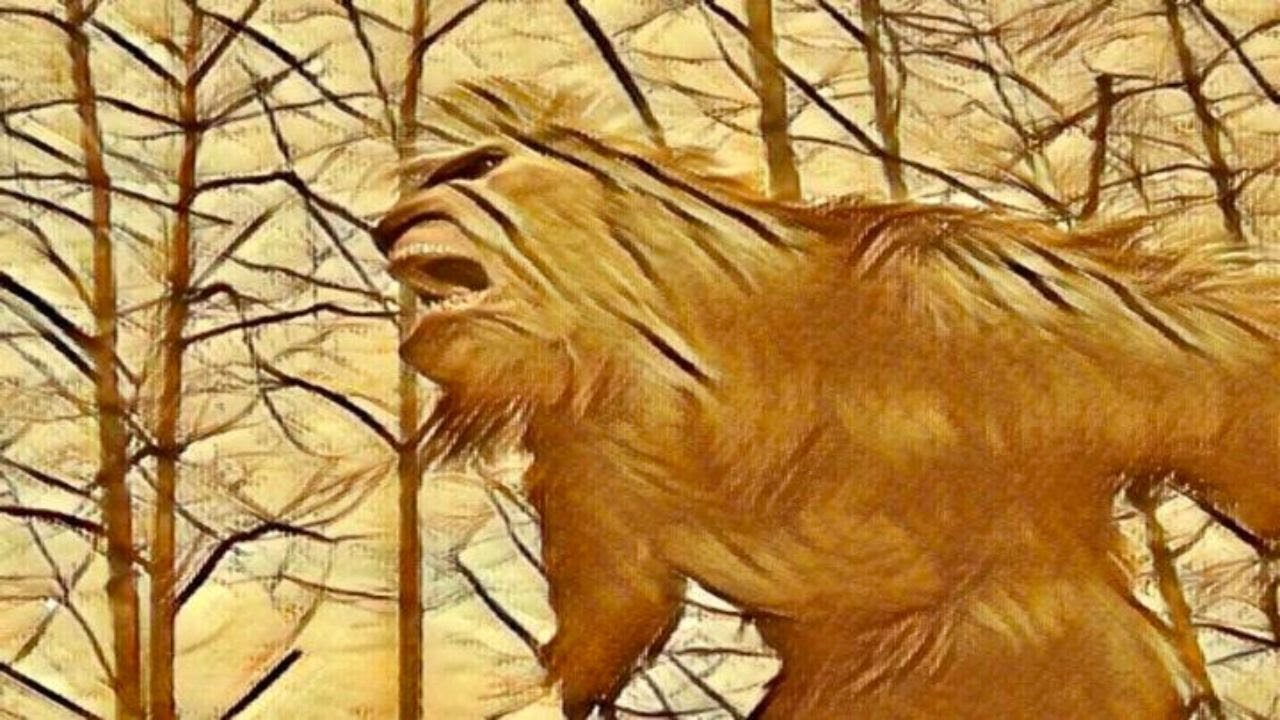 Mountain Bigfoot Sends Clear Message To Hunters