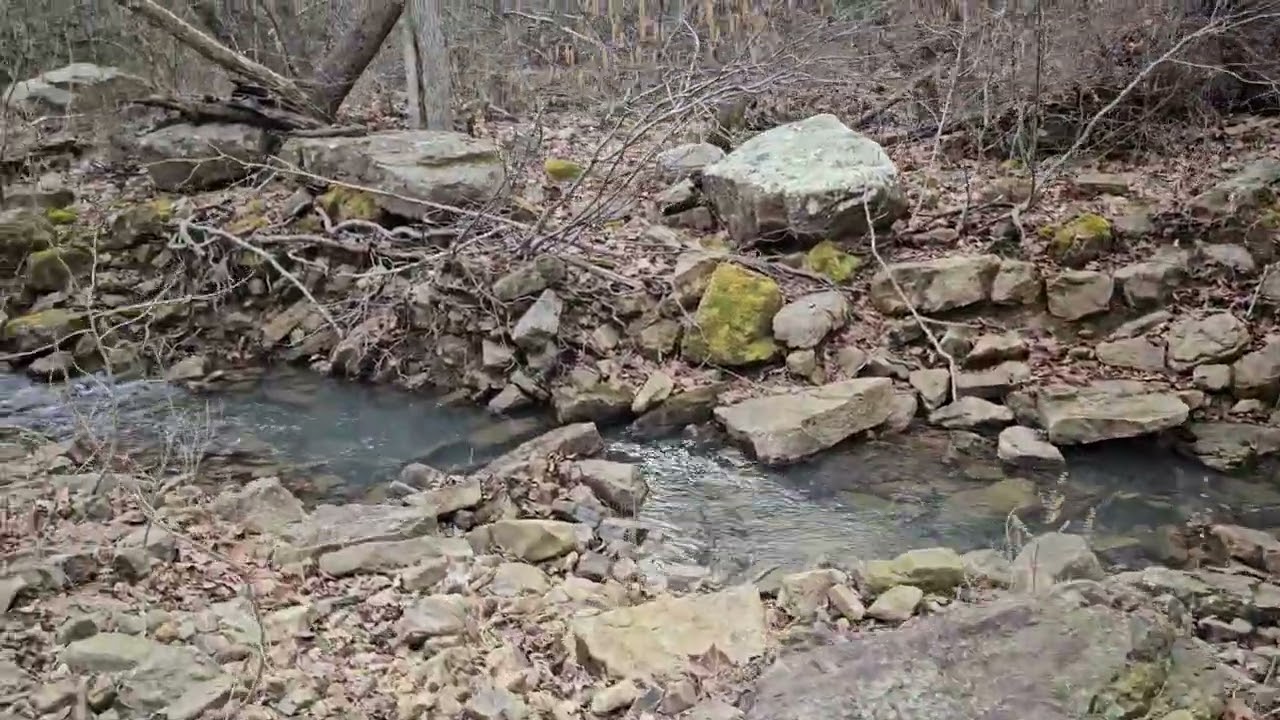 E2:S1 - A Saturday Hike
