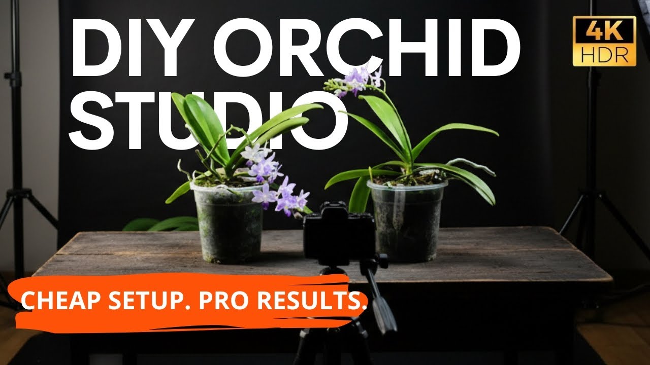 DIY Orchid Photography Studio at Home (No Expensive Gear!)