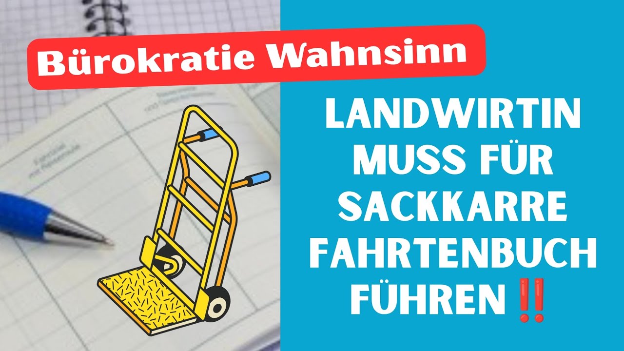 B&Uuml;ROKRATIE WAHNSINN IN DEUTSCHLAND‼️FAHRTENBUCH F&Uuml;R EINE  SACKKARRE🫣 #b&uuml;rokratie#deutschland#politik