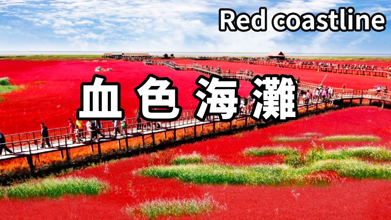 全球獨一無二的紅色海岸線！海邊沙灘被血色侵染，彷彿地獄之路的彼岸花，意外成靚麗風景線【大海去旅行】