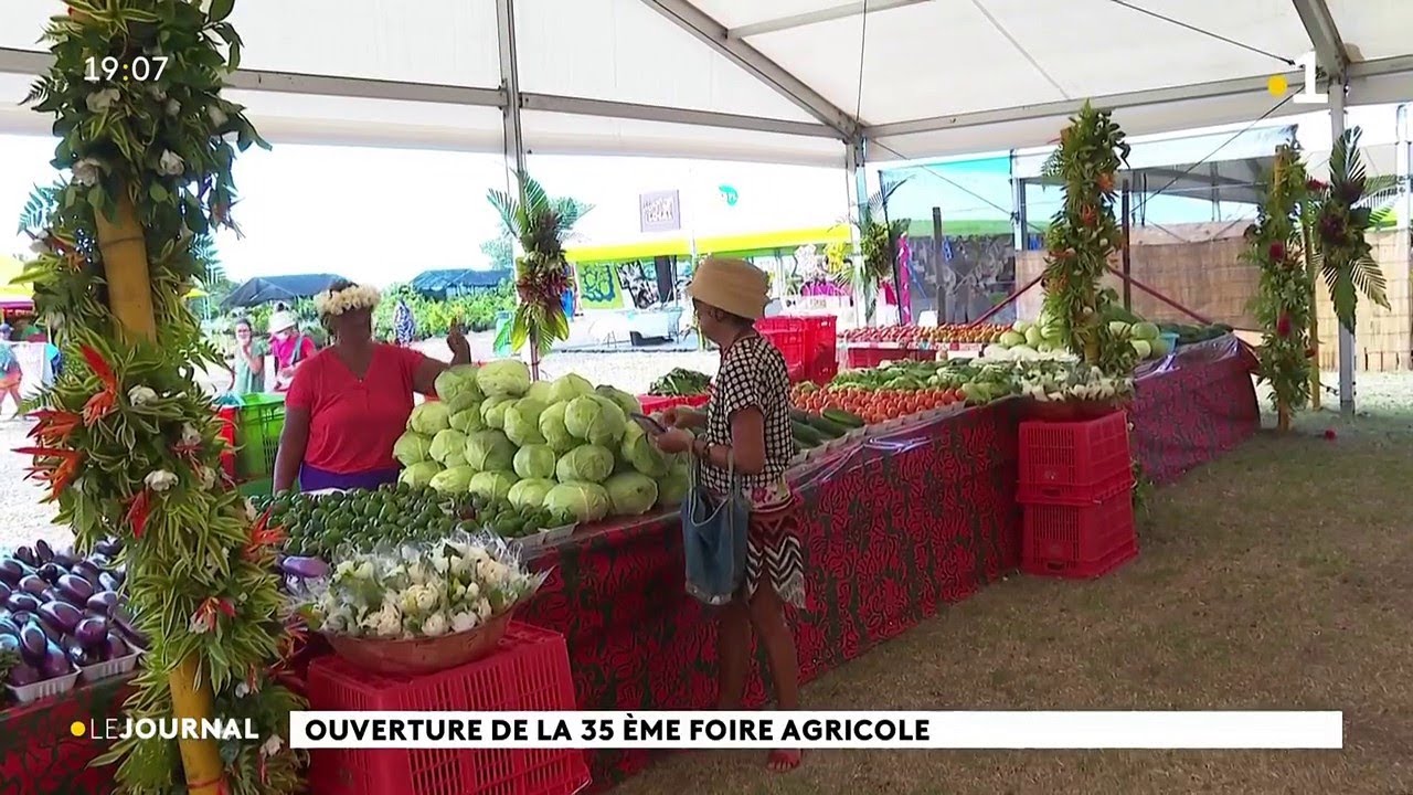 Ouverture de la &laquo; mini &raquo; foire agricole