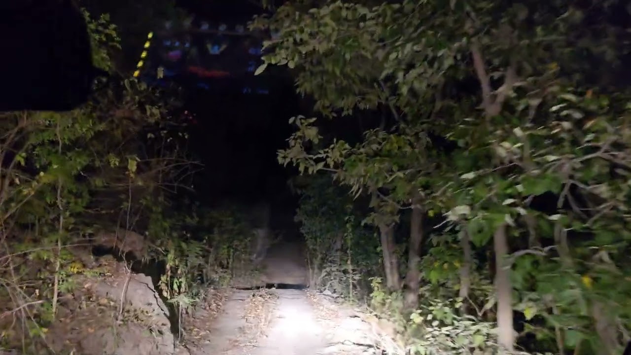 कुएं में गिरी Tigress और सूअर Pench Tiger & Wild Boar Rescue – Forest Department’s Daring Operation