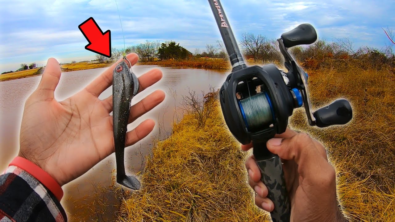 NOOB Fishes BIG Swimbaits for BASS - IT GOT BIT! (EP.1)