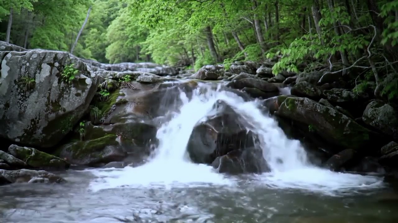 The sound of flowing water for bird sound therapy 