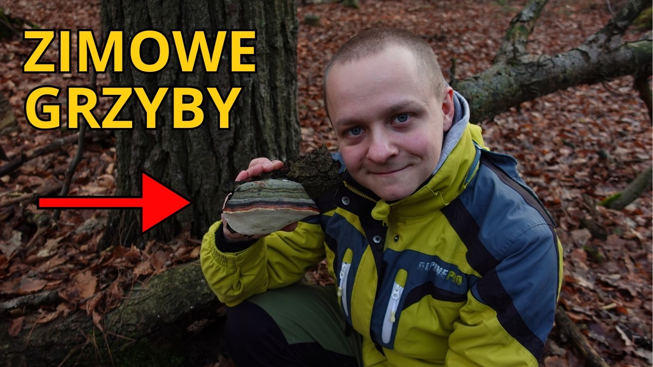 Pierwsze ZIMOWE GRZYBY u Chmielewskiego