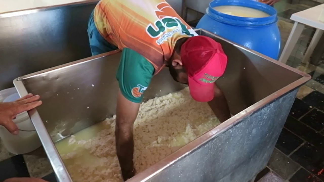 Queijaria em Jaguaribe faz sucesso com produ&ccedil;&atilde;o artesanal