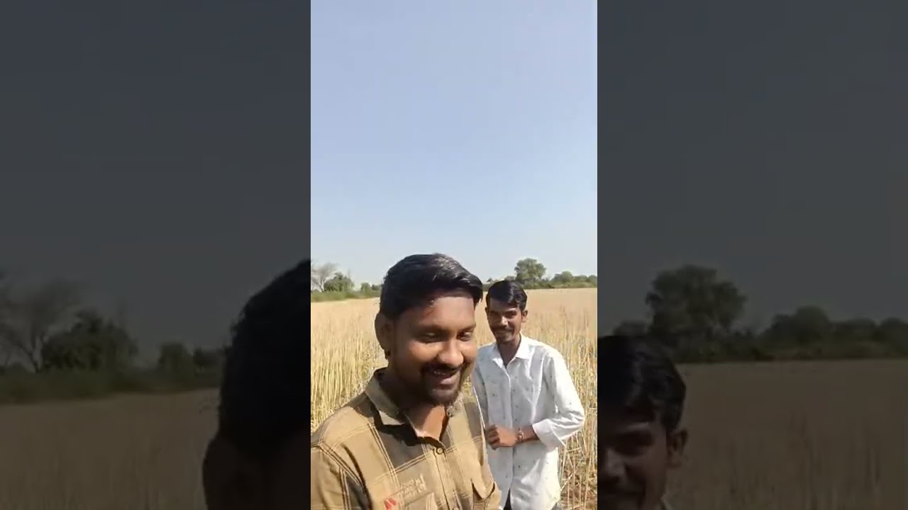 सरसों ❤️