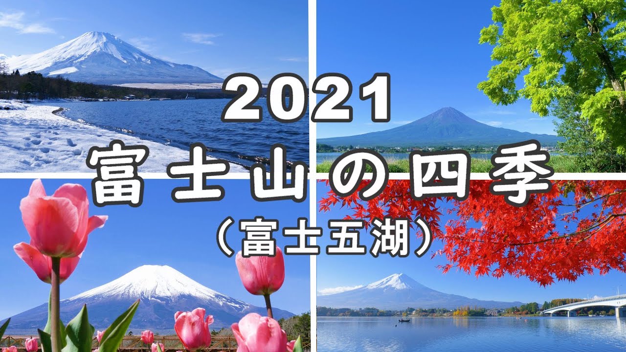 2021 [総集編] 雄大な富士山の四季 / この１年を振り返る（富士五湖エリア） [4K] #MtFuji #FourSeasons #Yamanashi