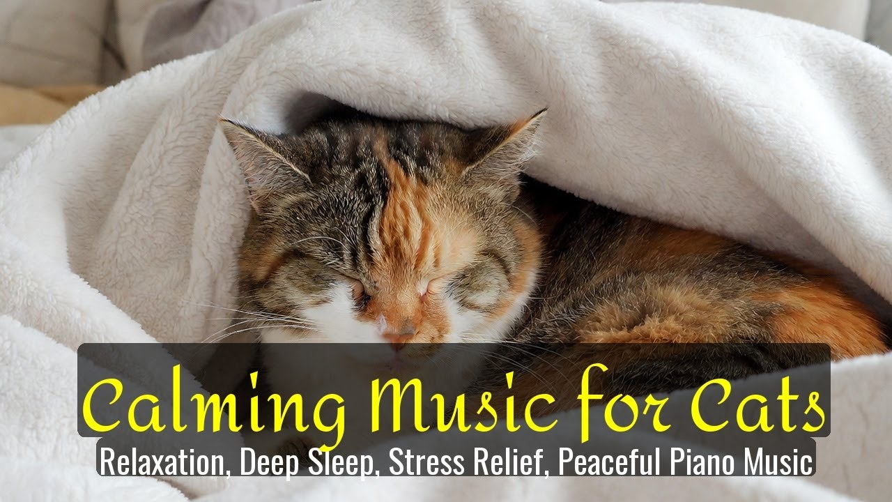 Calming Music for Cats - Relaxation, Deep Sleep, Stress Relief, Peaceful Piano Music | Season 64