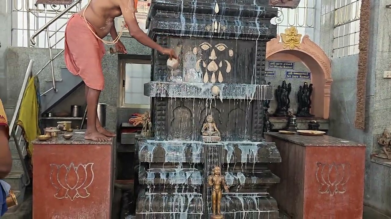 RAYARU's 431st AVATHARA DINA PANCHAMRUTHA ABISHEKA at SRI RAGHAVENDRA GRANTHALAYA on 24.02.2026