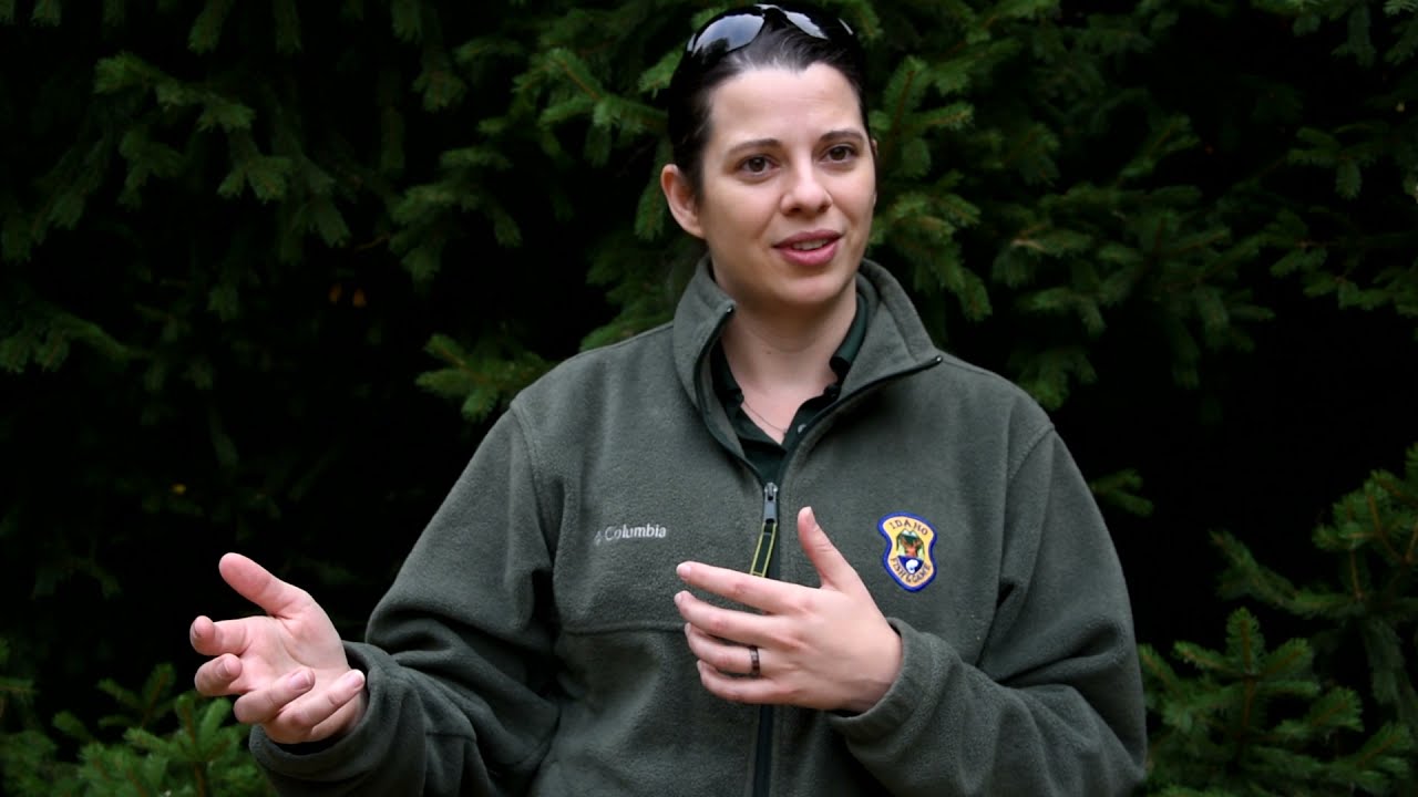 Dr. Nicole Walrath explains Epizootic Hemorrhagic Disease