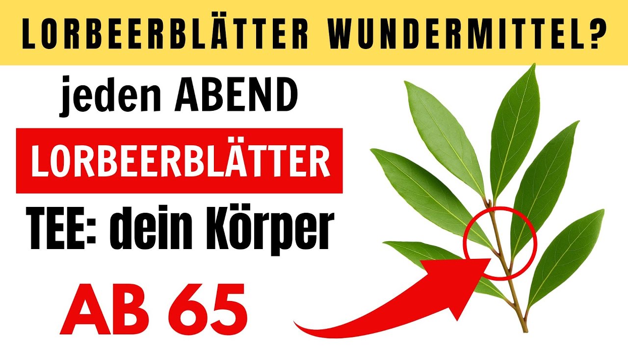 Nach 65: Lorbeerblatt Tee vor dem Schlafen, die Wirkung wird dich umhauen