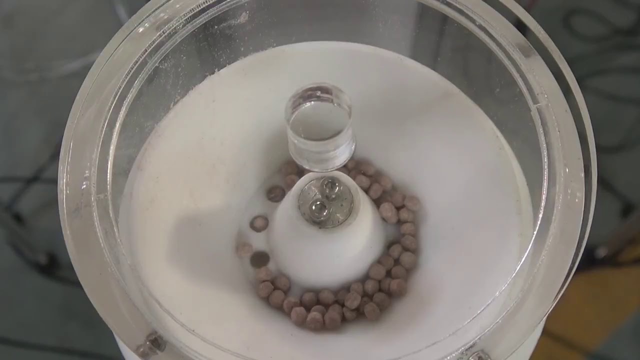 Automated 8 Arm Radial Maze