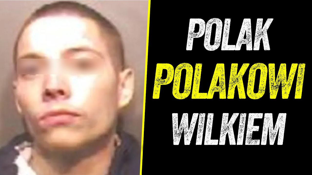 POLAK POLAKOWI WILKIEM