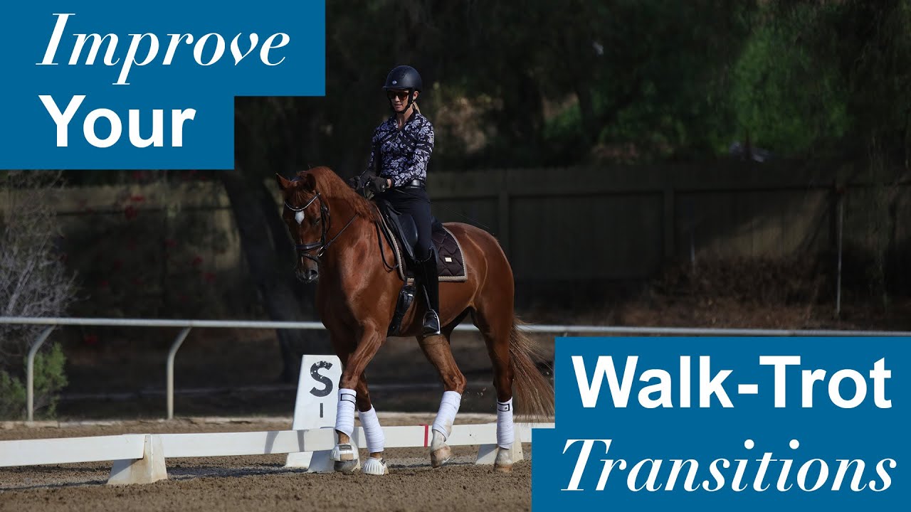 Improve Your Walk-trot Transitions