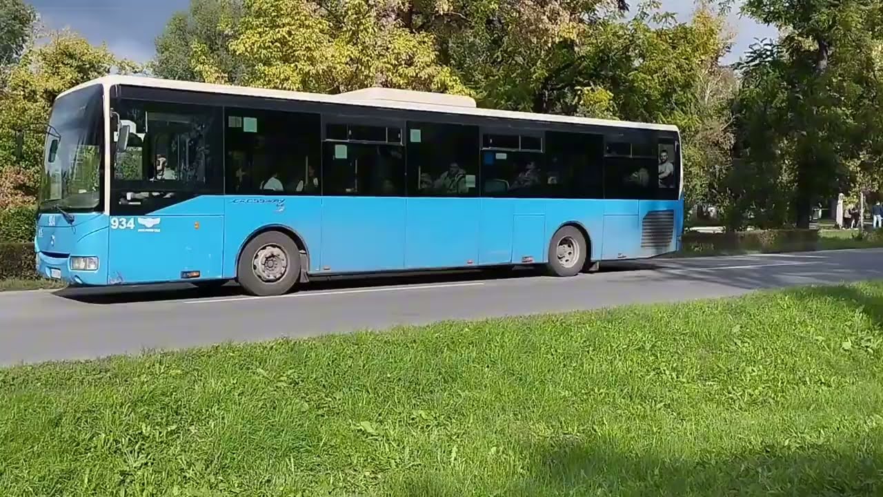 Busses in Novi Sad