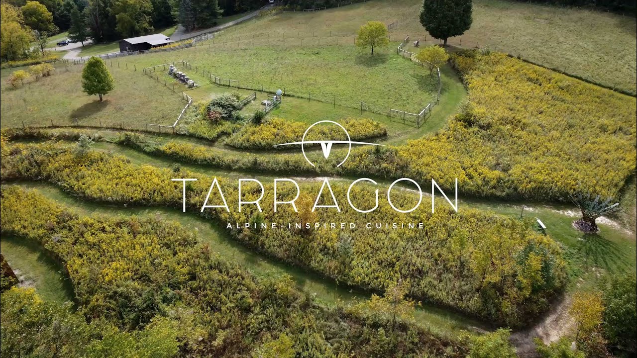 Introducing Tarragon | Authentic Alpine-Inspired Cuisine