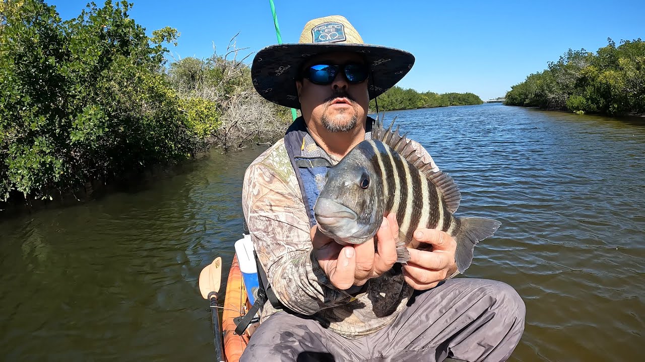 Where and how to catch LOT's of SHEEPSHEADS! #sheepshead #sheepsheadfishing #saltwaterfishing