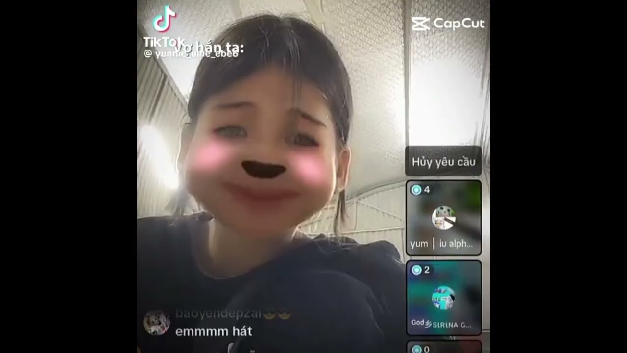Tổng hợp video về 505 x alpha p3.           (#anhbonsans)