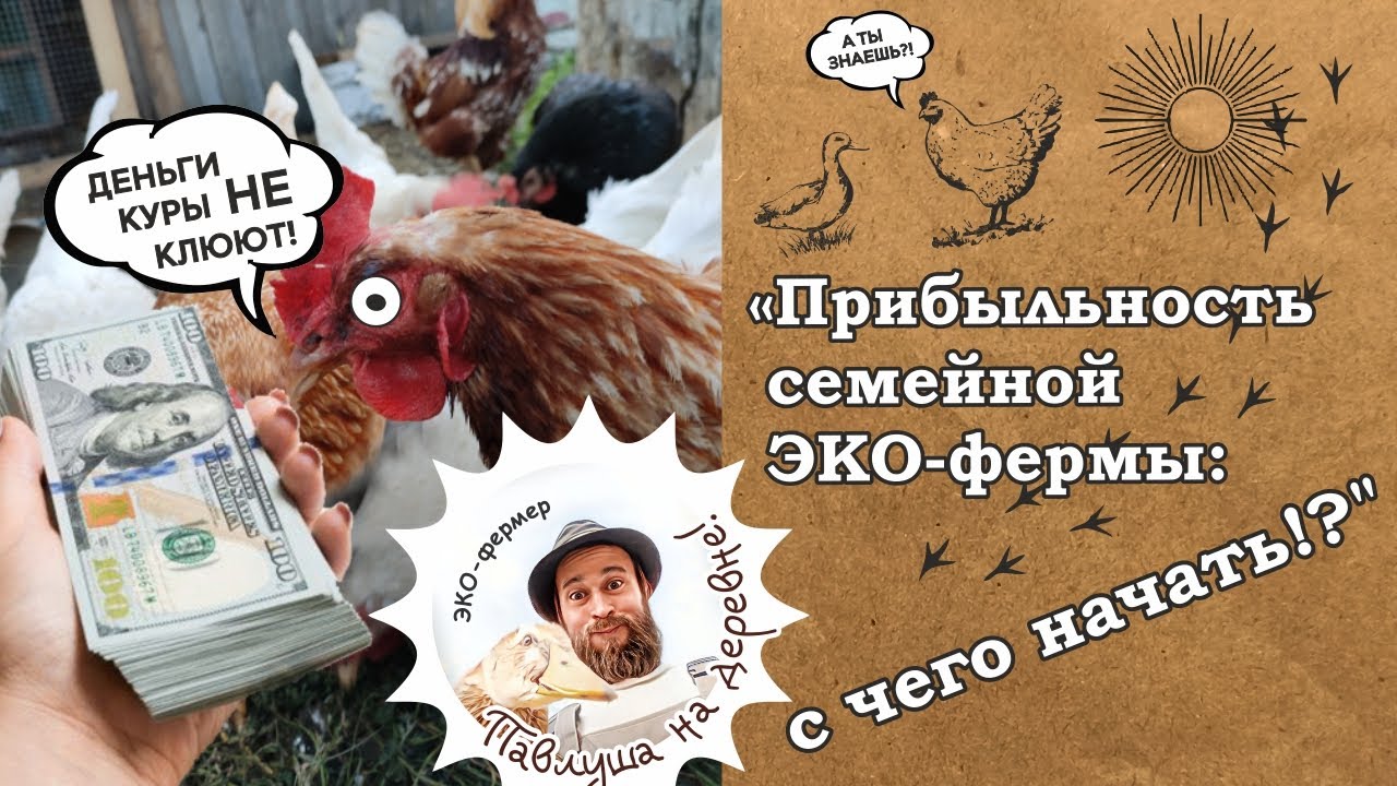 Прибыльность семейная эко-ферма: с чего начать?