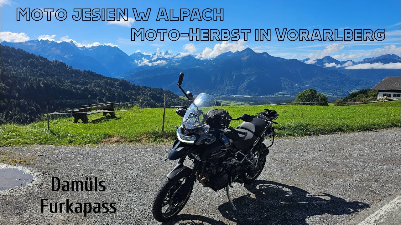 Jesien w Alpach - Vorarlberg - Osa w locie