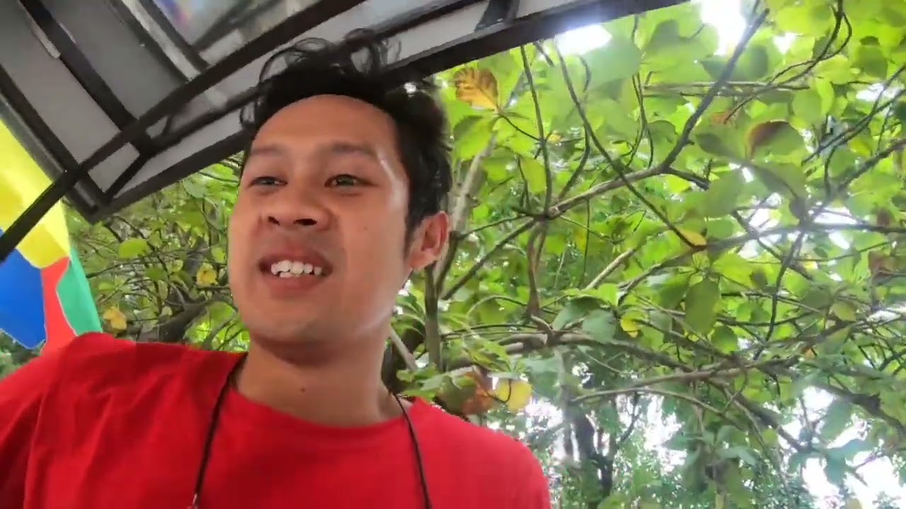 PERJUANGAN BUKA USAHA MOLENMINI_SENSEI || #adiefuvlog
