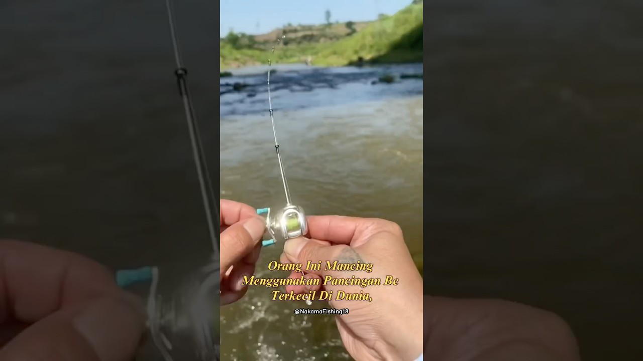 Mancing pakai pancing BC terkecil di dunia😱 #shorts #mancing #fishing #fypmancing #alatpancing #fyp