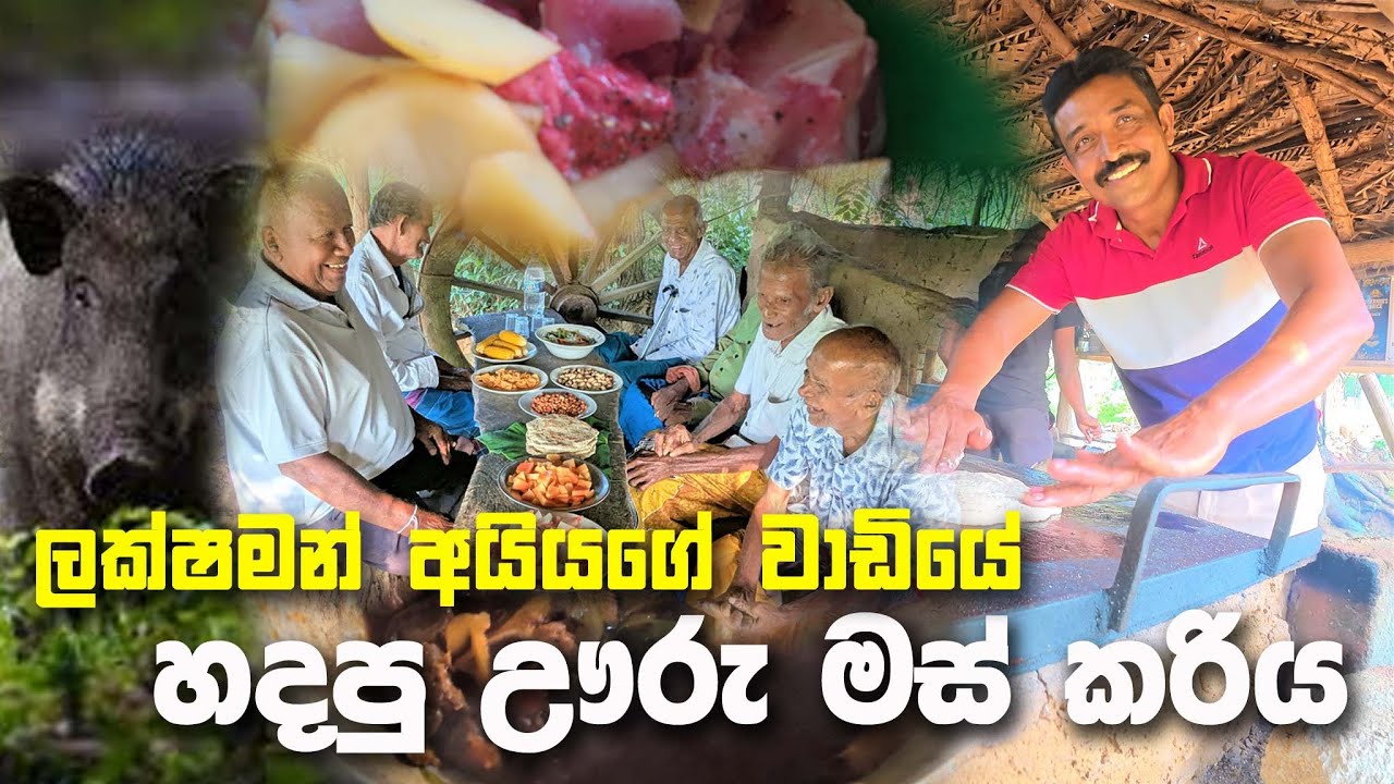 වාඩියේ ඌරු මස් එක්ක පොල්රොටියක් |