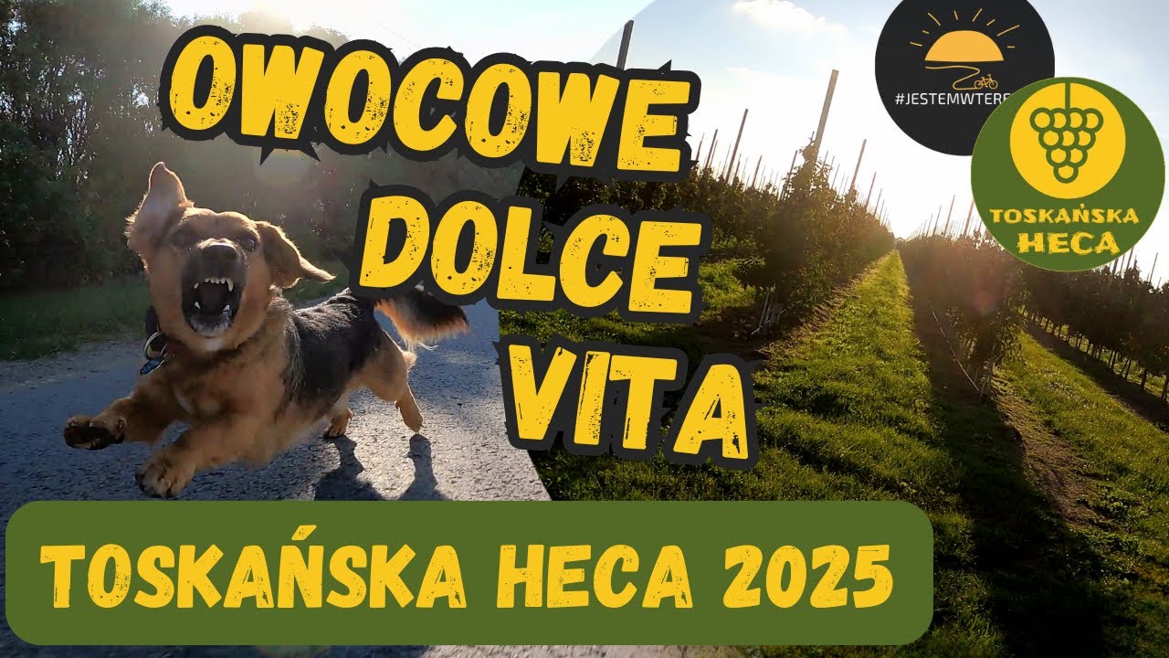Toskańska Heca 2025 i owocowe dolce vita - 210 kilometr&oacute;w po Mazowszu