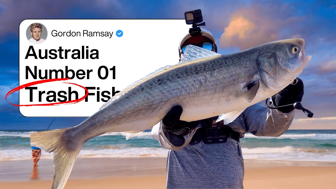 Australia's number 01 TRASH FISH into a GOURMET (Catch & Cook)