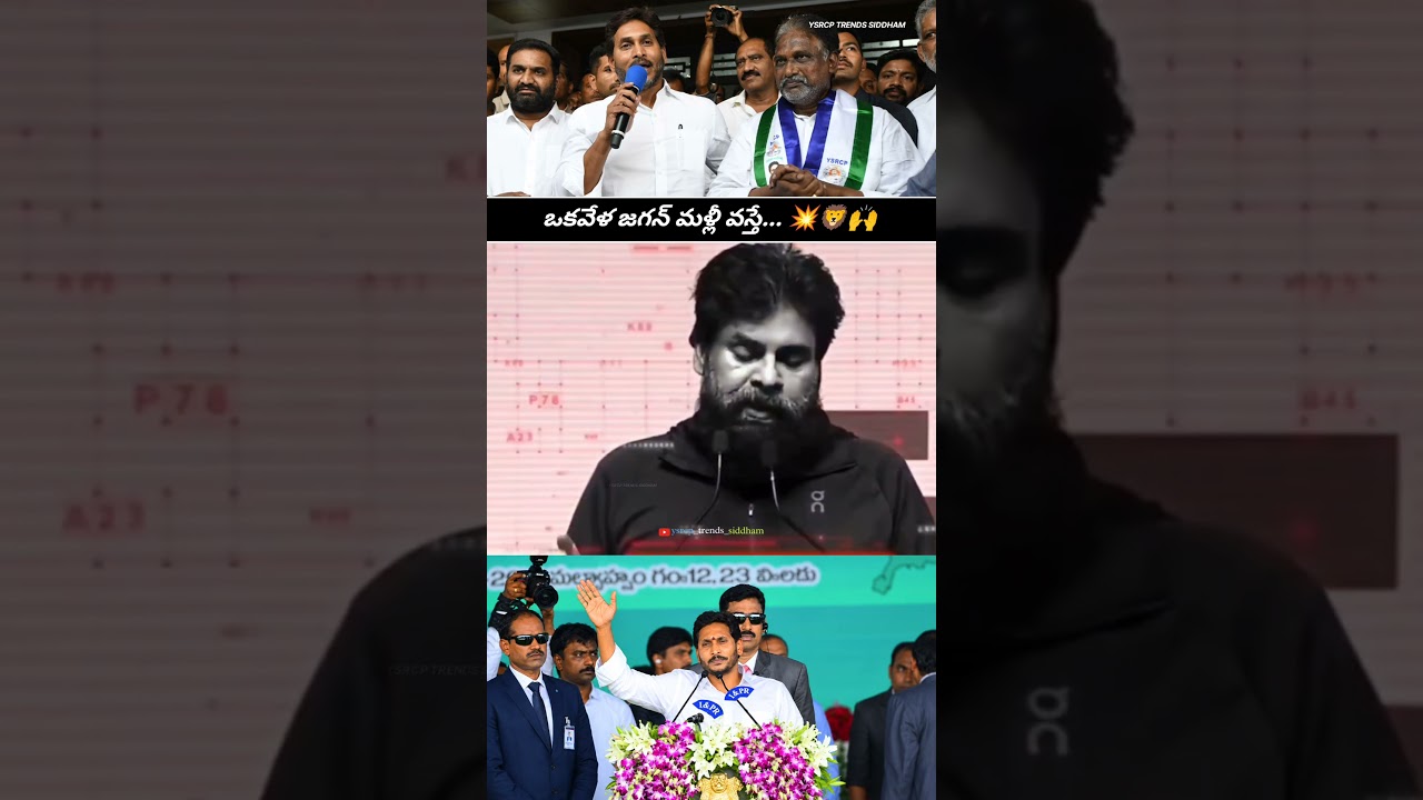 Pawan Kalyan About YS Jagan Mohan Reddy 🔥🙌 | AP Politics Latest #PawanKalyan #YSJagan #Shorts