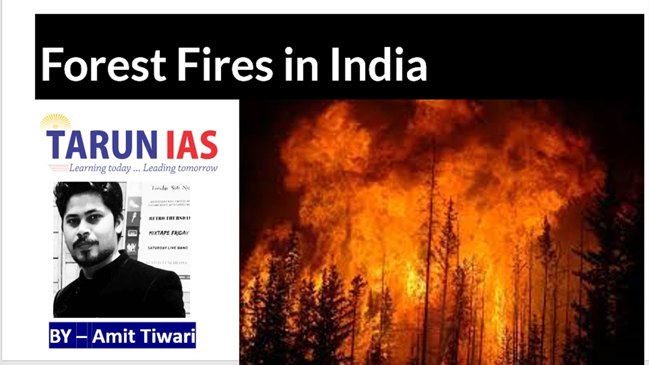Forest Fires in India | Current Affairs | Amit Tiwari Tarun IAS