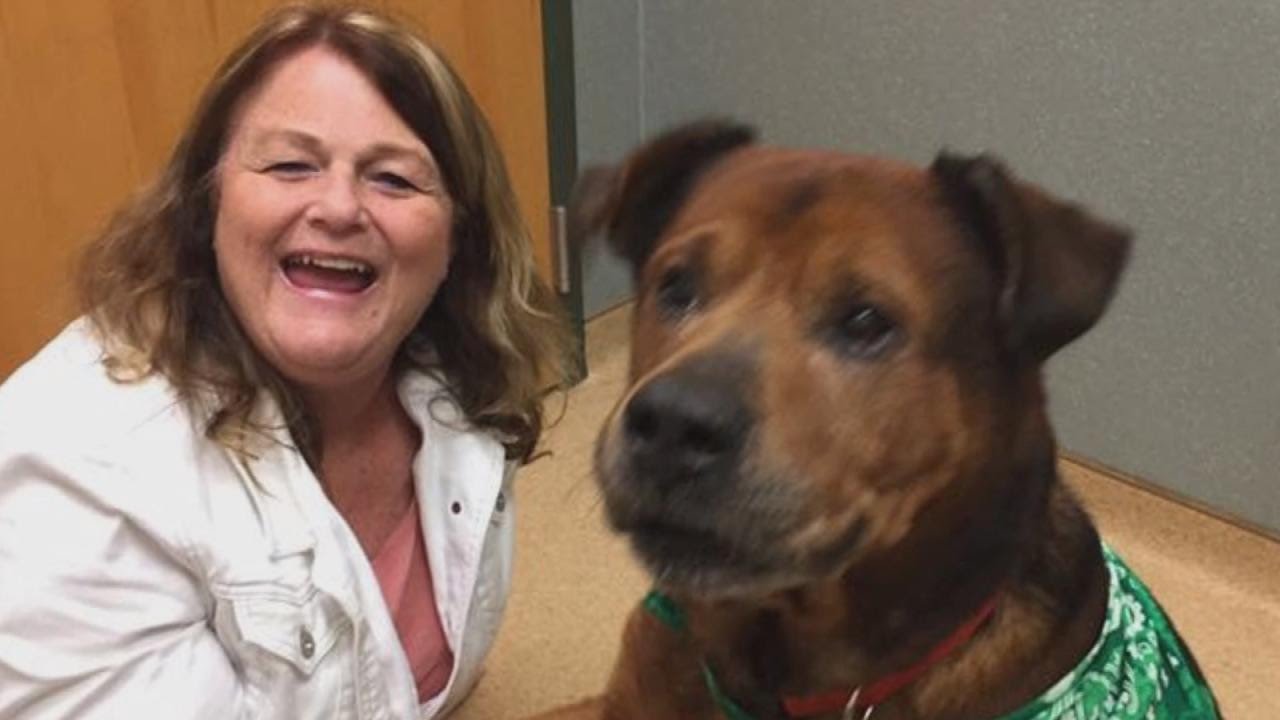 Dying Dog Gets To Live Out Final Days In New Home After Being Adopted