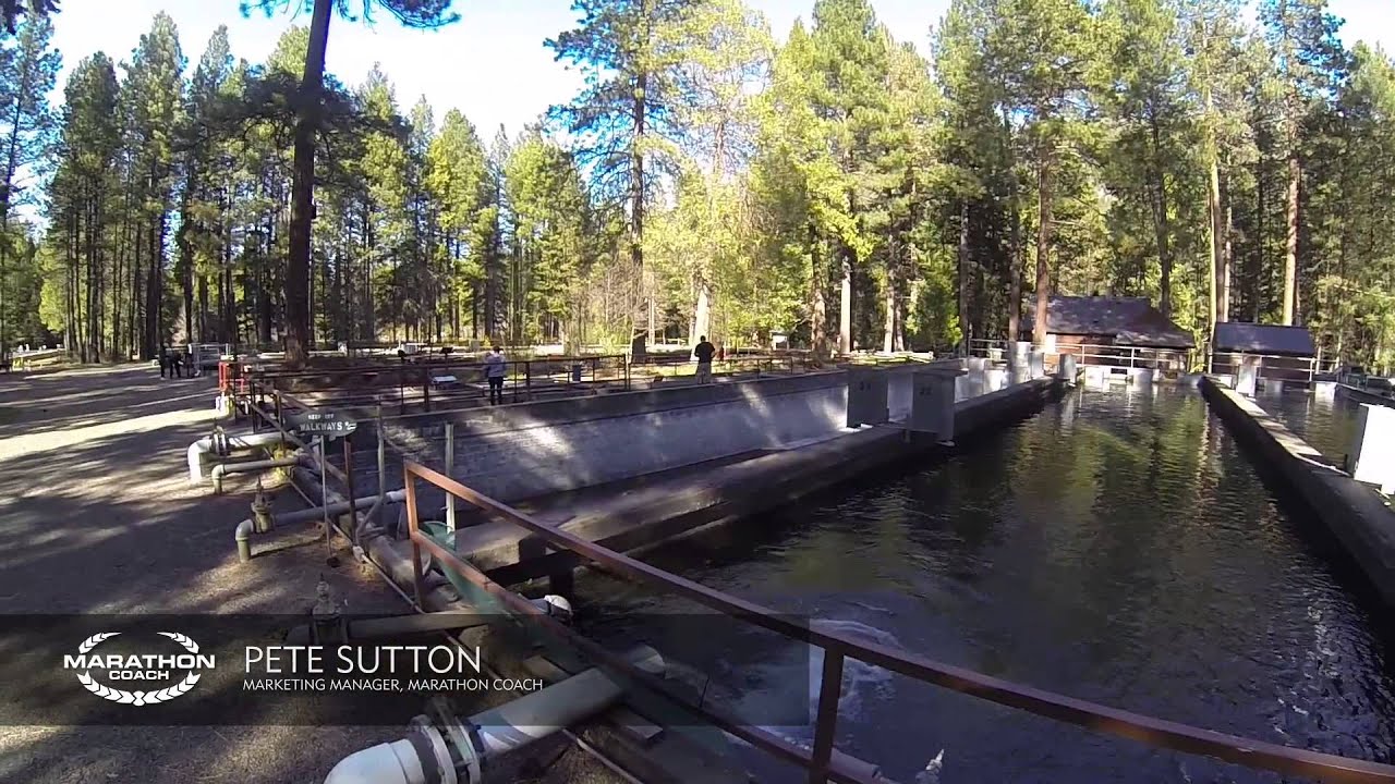 Wizard Falls Fish Hatchery