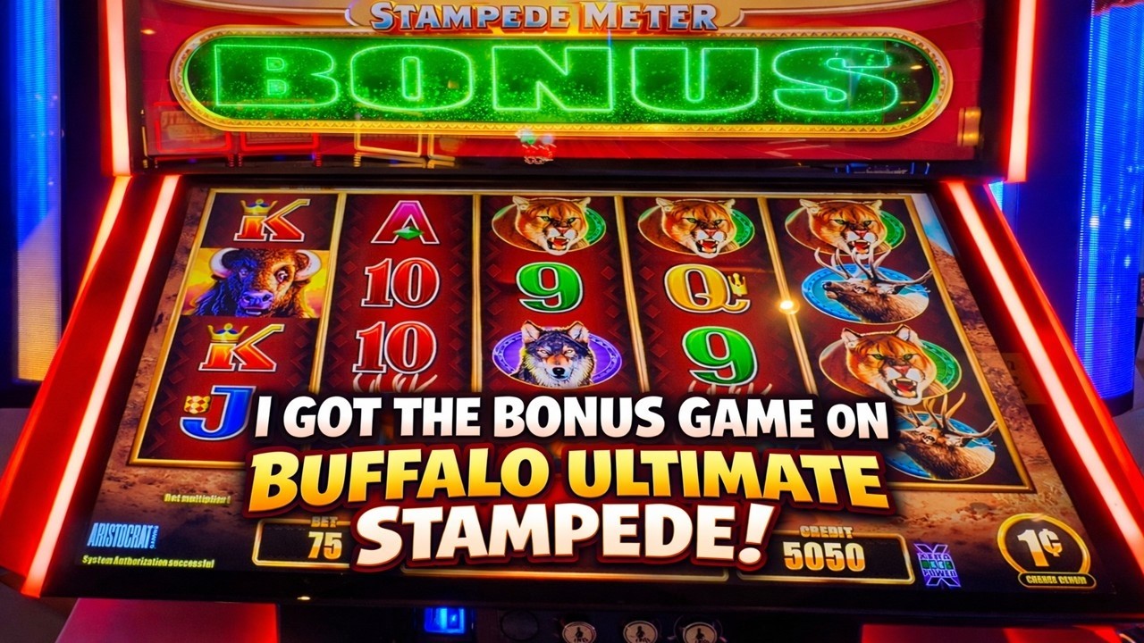 I got the BONUS GAME on Buffalo Ultimate Stampede!