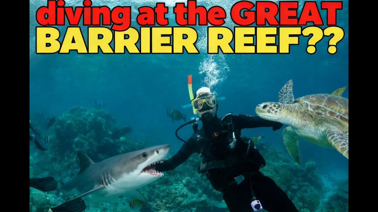 DIVING AT THE GREAT BARRIER REEF!?
