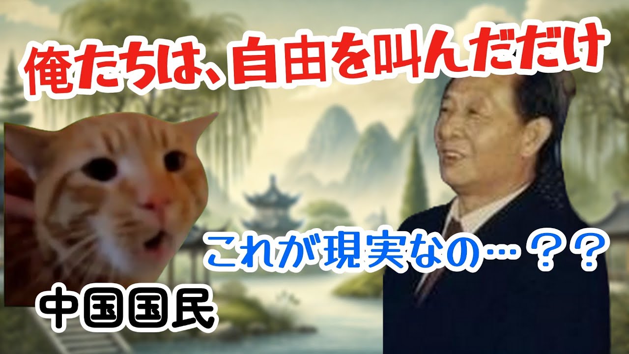 【猫ミーム政治解説】中国が隠したい「天安門事件」の真実とは？戦車男の謎と民主化運動の結末 #猫マニ #猫ミーム​