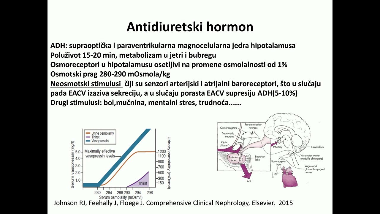 1c  Poremećaj metabolizma vode, acidobaznog statusa i elektrolita doc dr M Laušević   Klinički prist