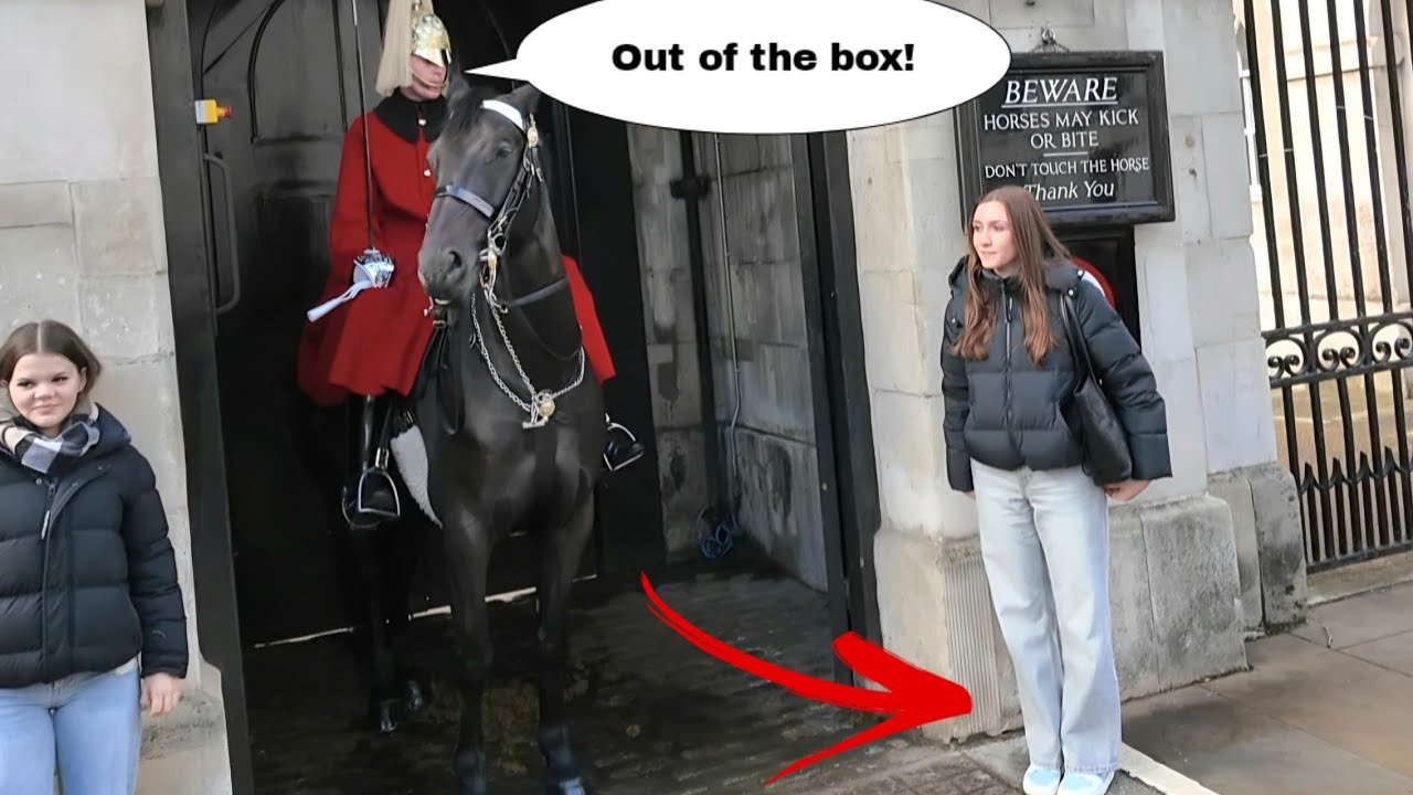 'GET OUT OF THE BOX