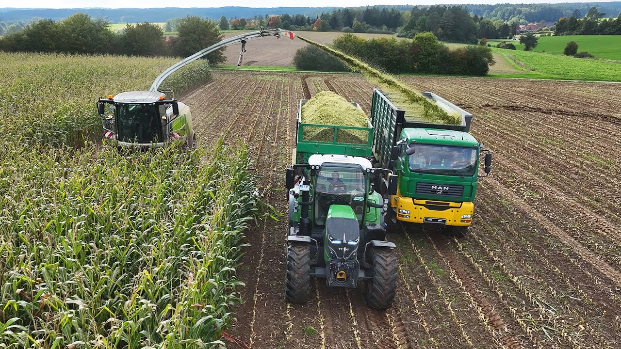 Maisäckseln 2025 | Claas Jaguar 950 + Orbis 900