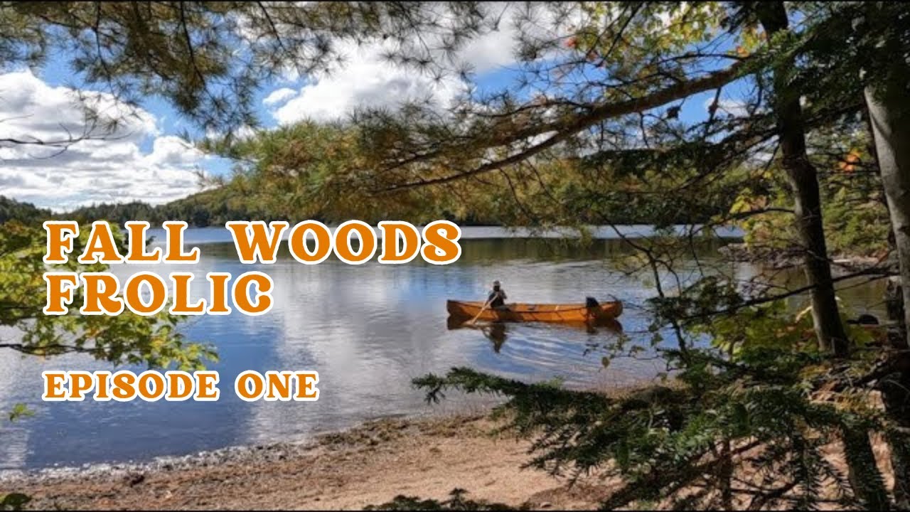 Fall Woods Frolic-Hammock Camping Backcountry Nova Scotia