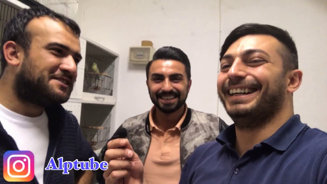 Toplu MuhabbetKuşu Alıp / Yeni Üretim Hane / Kurduk / Arkadaşlara