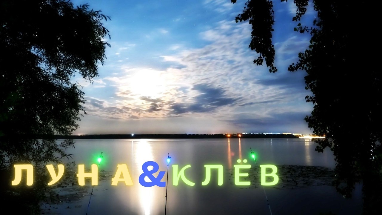 ЛУНА и КЛЁВ РЫБЫ — проверил за 8 лет! Правда, о которой молчат рыбаки