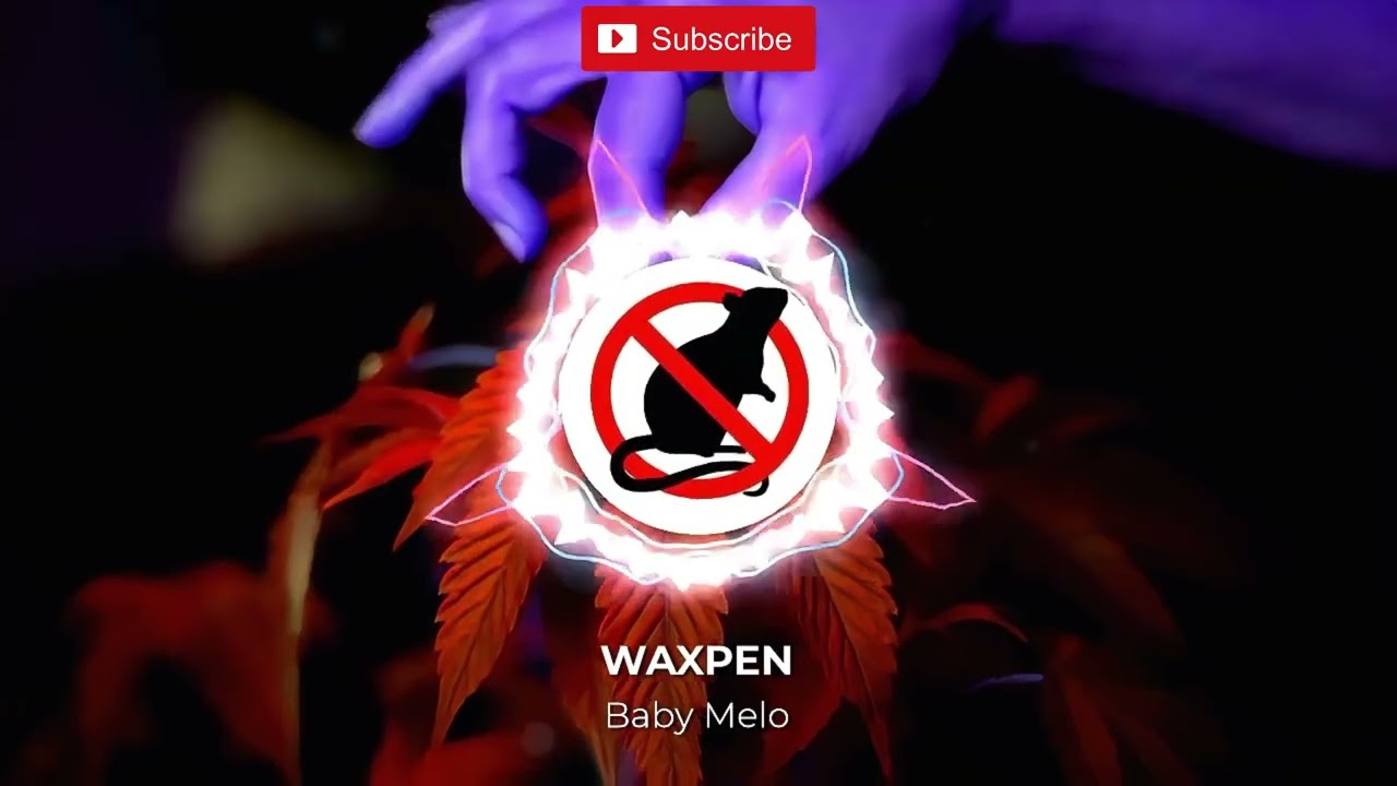 WAXPEN  Reverb - Baby Melo