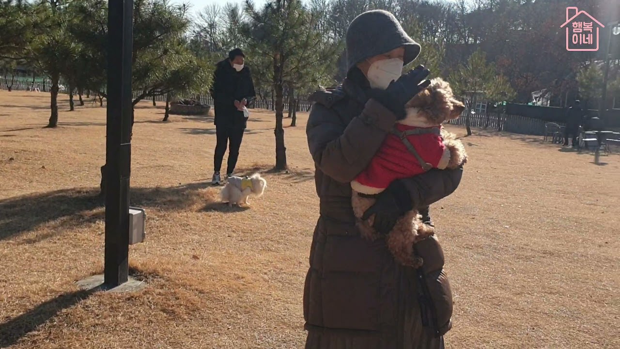 피터펫츠 애견카페 애견운동장 고양시 피터팻츠 대형애견카페 일산애견카페